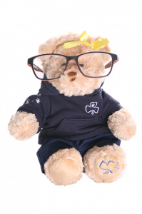 Girls Guides Tori Bear with glasses